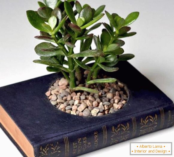 Lonec rastlin iz knjige