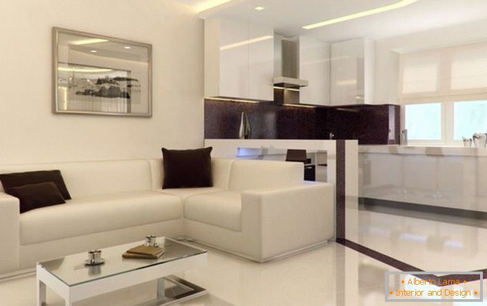 Studio apartma v slogu minimalizma je prostoren in svetel. Odvečni dekorativni elementi v notranjosti ne preobremenijo notranjosti.