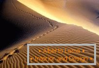 Pokrajine: živahni pogledi na puščave