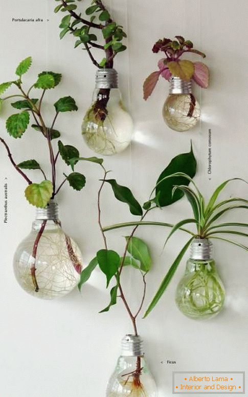 Kako zanimivo je postaviti rastline v zaprtih prostorih