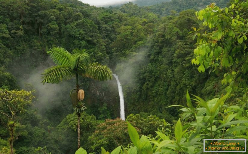 Samourejene ture v Kostariki