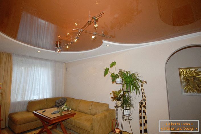 Skromna in enostavna oblika strešnega stropa je odlična v notranjosti sobe za goste.
