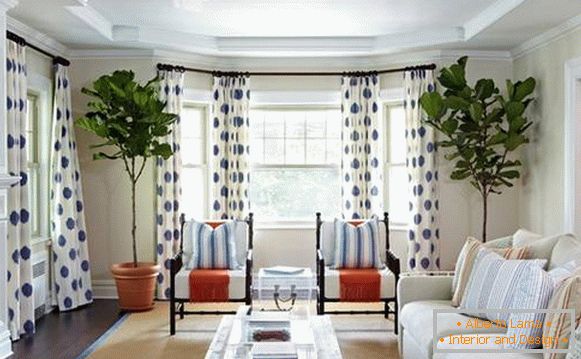 Bele zavese z modrim vzorcem v dnevni sobi