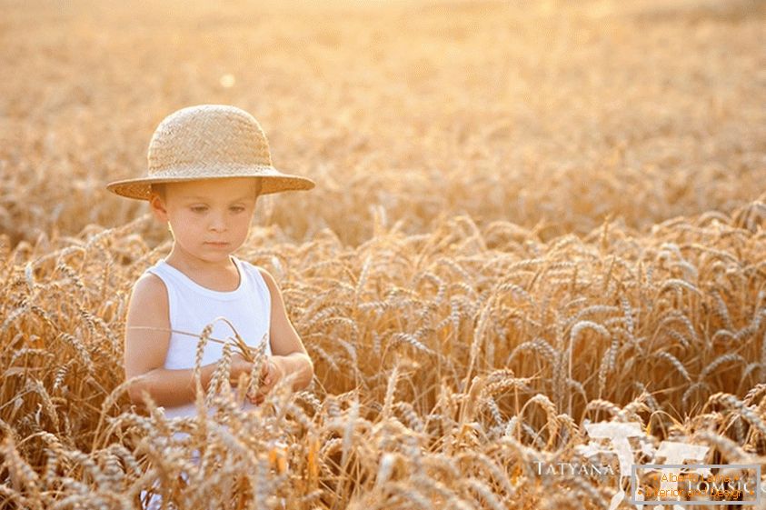 Otrok v pšeničnem polju