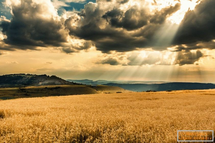 Sonce potuje po oblakih nad poljem pšenice